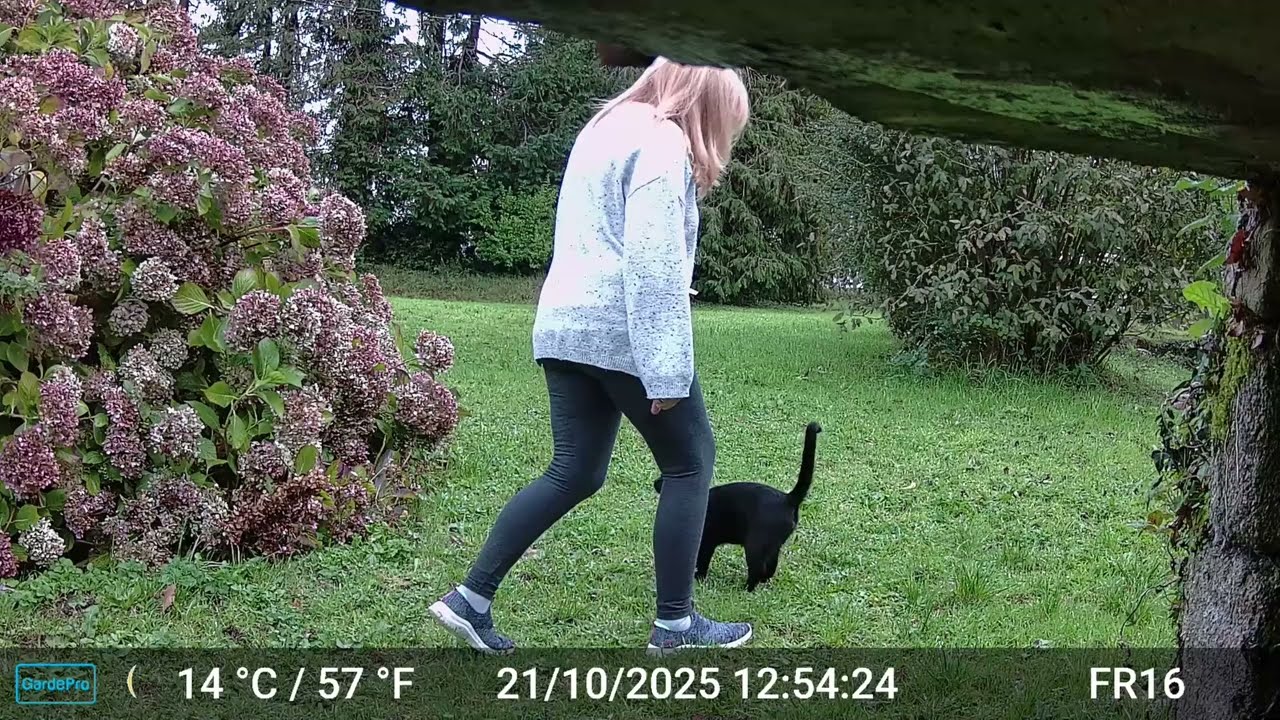Pictures & Videos GardePro A3 Trail Camera 4 of 12 FR16 Part 6 Côtes d'Armor, Brittany, France