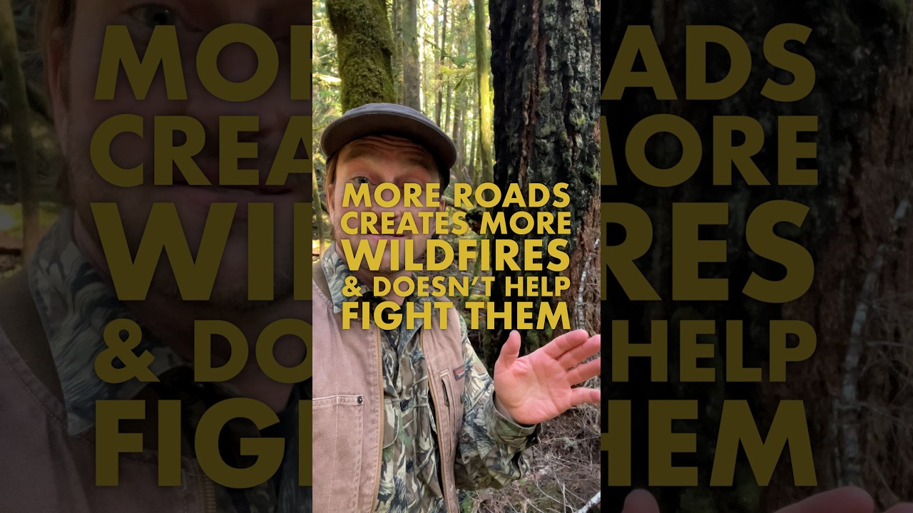 More Roads creates more Fires & they don&rsquo;t help fight them - as per the forest services own studies