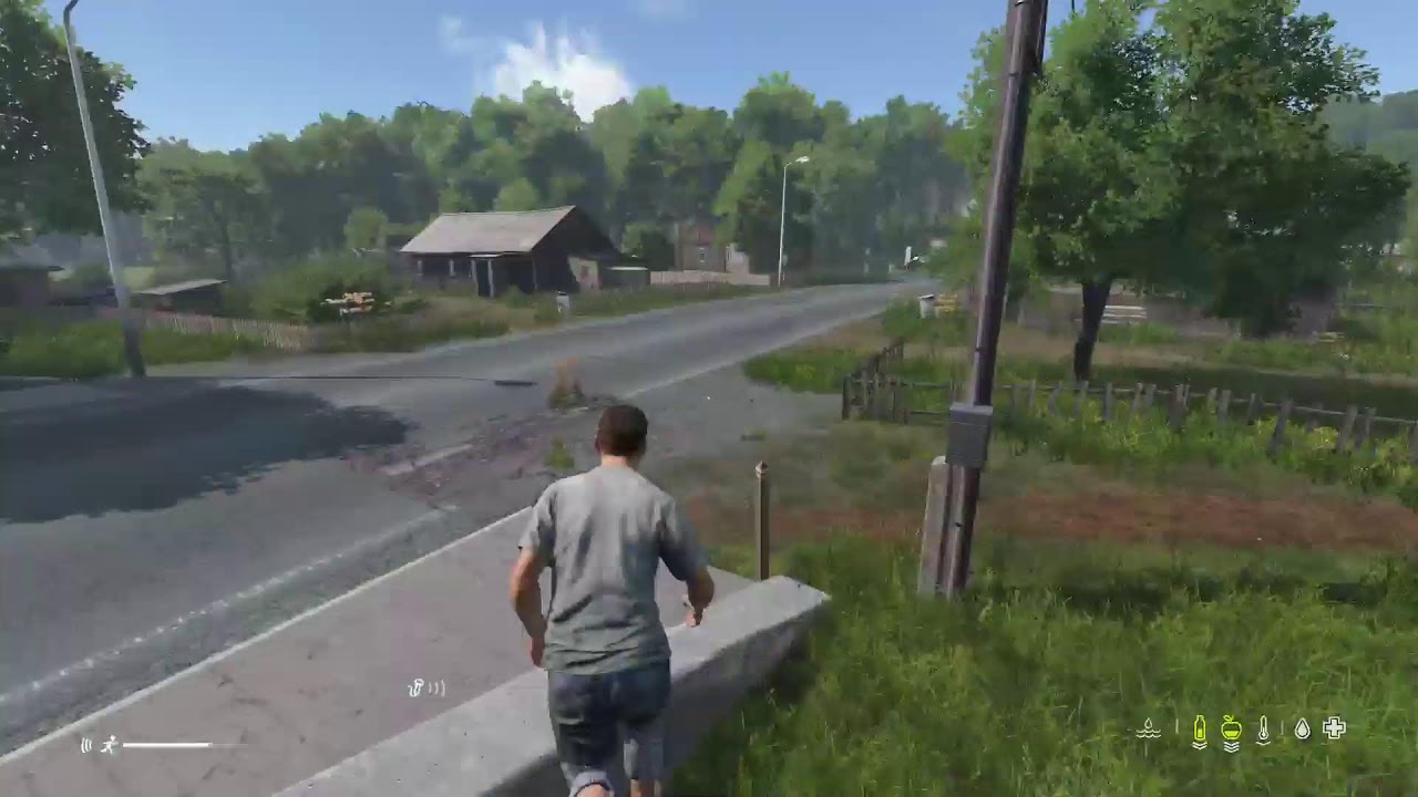 Dayz live