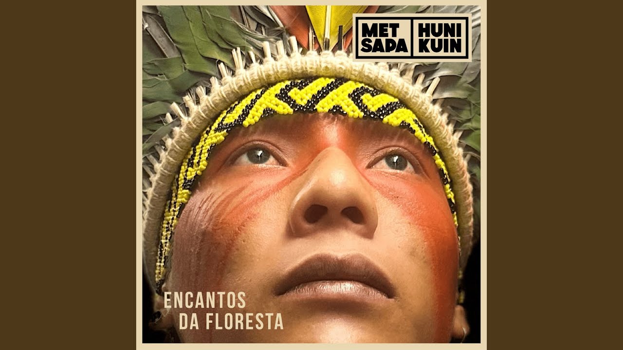 A Cura da Floresta