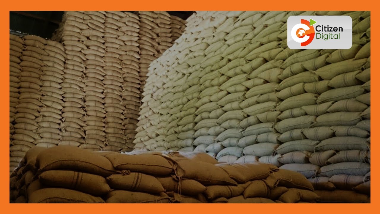 Trans Nzoia farmers hoarding maize for lack of good prices