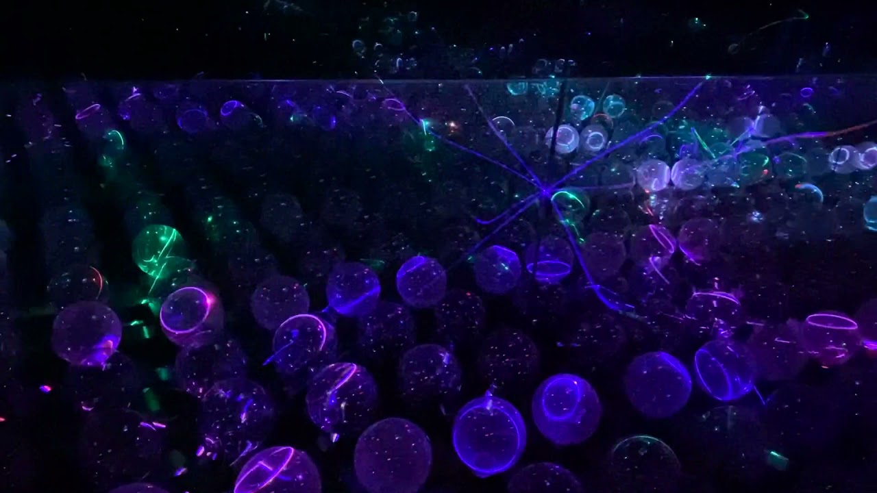 Wink World at Area 15 (no audio)
