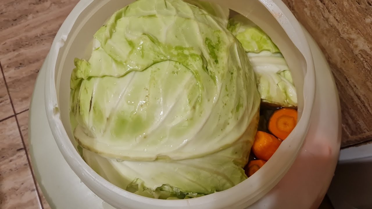 НАКЛАДОХ СИ ЗЕЛЕТО 🥕