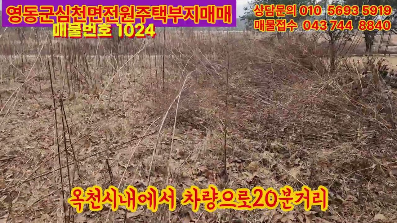 영동군전원주택매매, 영동군토지매매,영동군임야매매,영동군단독주택매매,영동군시골집매매,보은토지매매,옥천토지매매,급매물