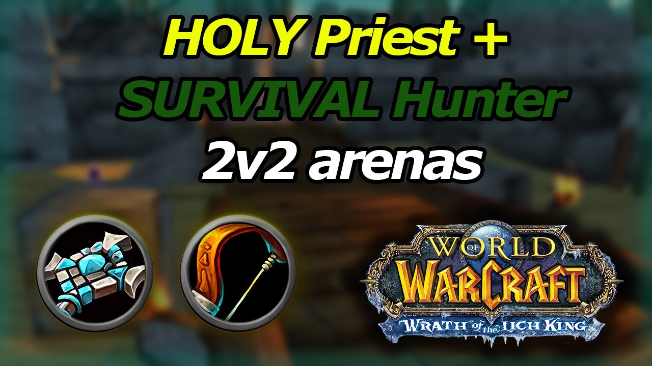 50% HOLY 50% Disc Priest + SURVIVAL Hunter 2v2 arenas – WotLK