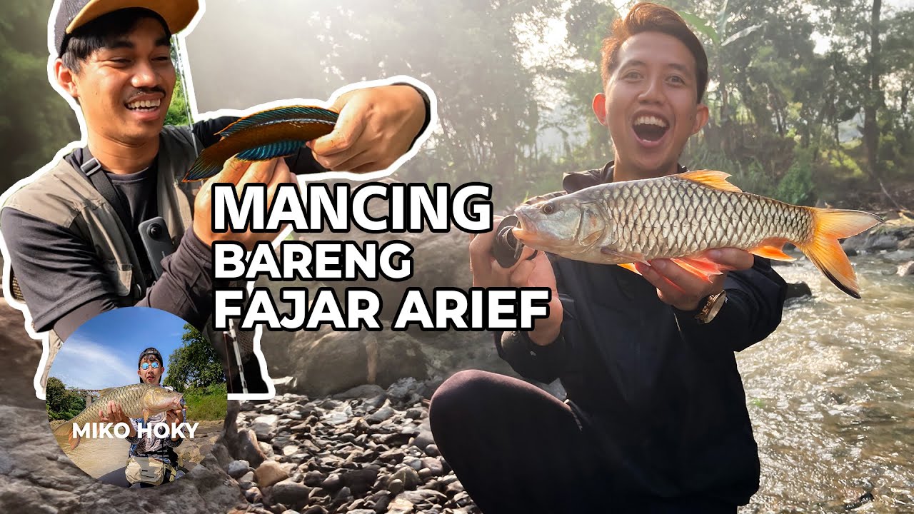🔴 Fajar Arief Full Senyum Mancing Bareng❗️Casting Ikan Hampala dan Dapat Channa Limbata Full Rim