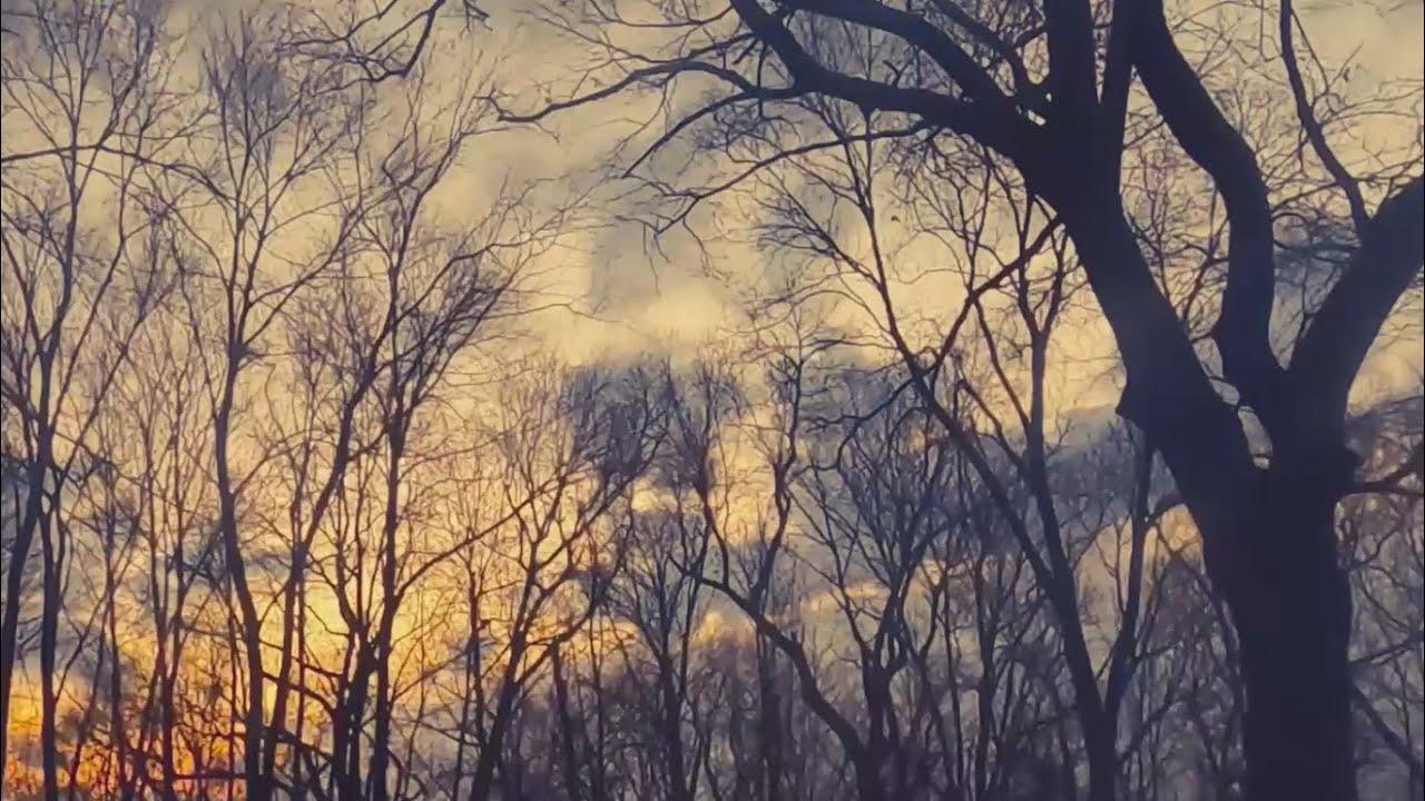 Every Sound Returns to Silence