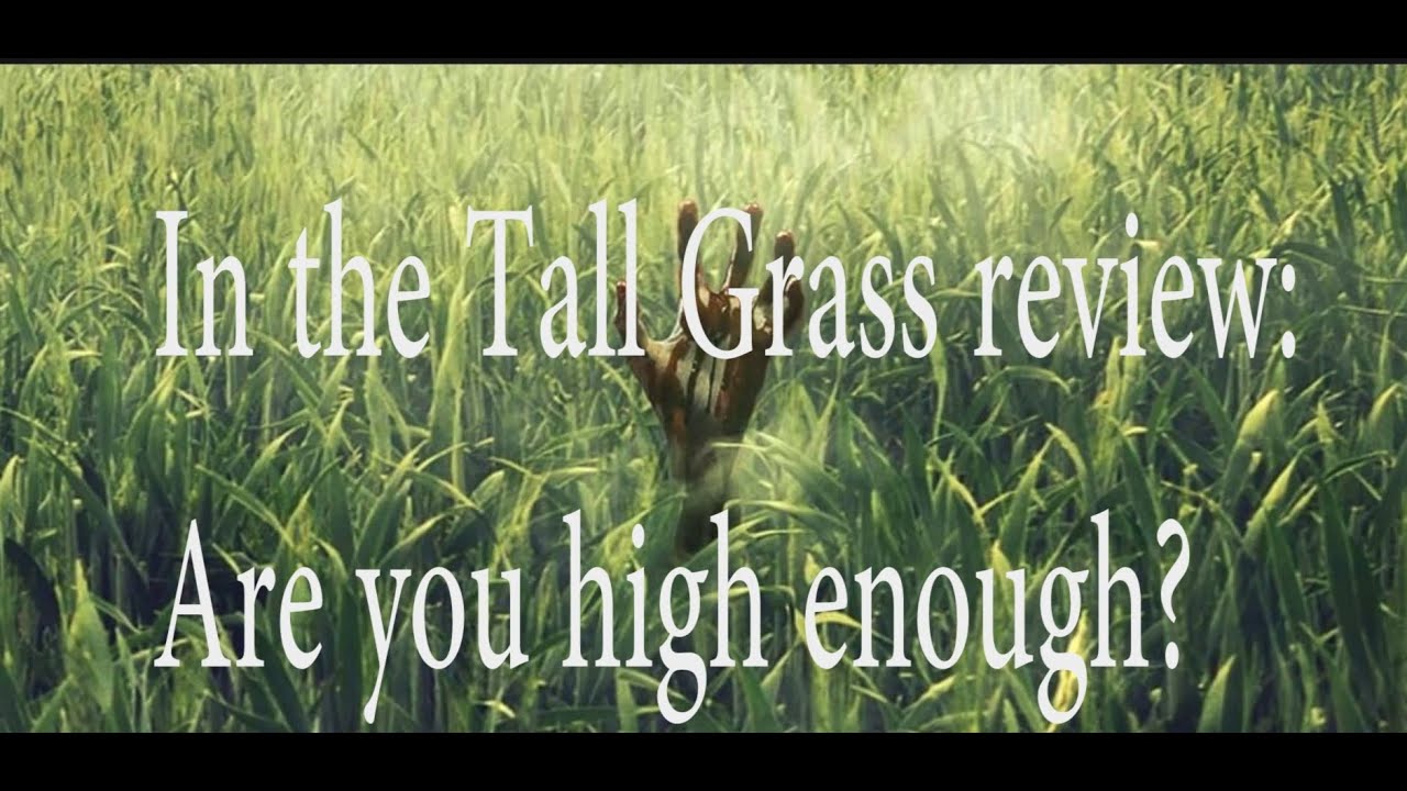In the Tall Grass review: Spoilers