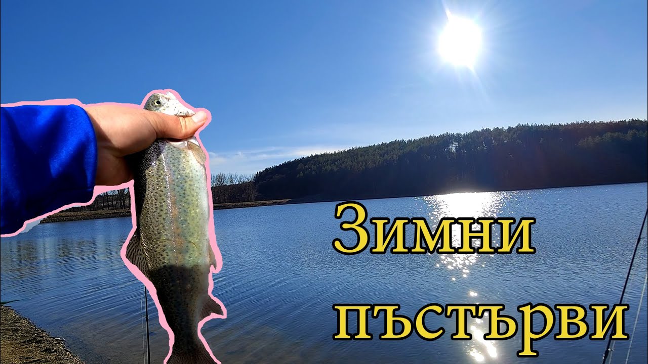 ЗИМЕН РИБОЛОВ: Пъстърви на язовир Ярджиловци Стария.