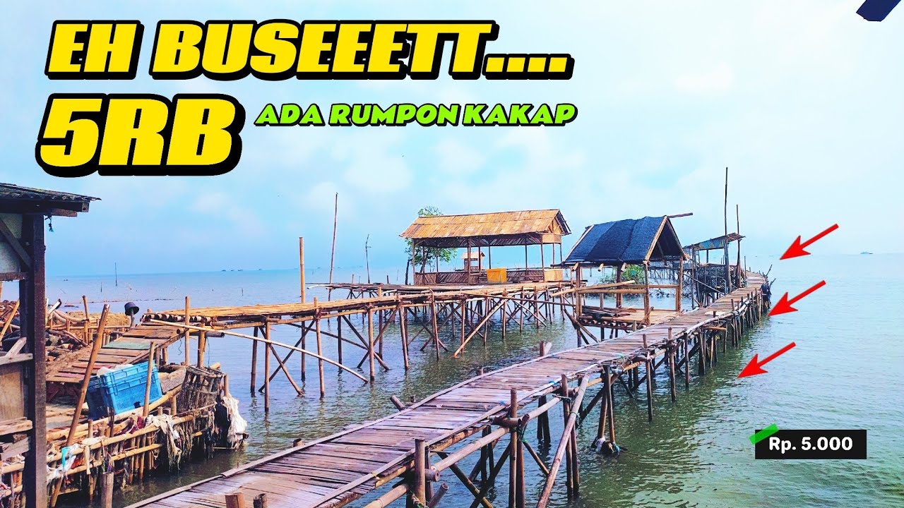 TAK DI SANGKA SANGKA ‼️ BAGAN INI SARANG KAKAP PUTIH DKK || BAGAN 5.000 MUARA KRONJO