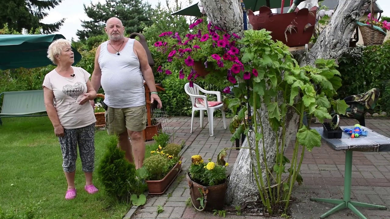 Irena i Andrzej Chojnaccy ROD Magnolia w Chełmży