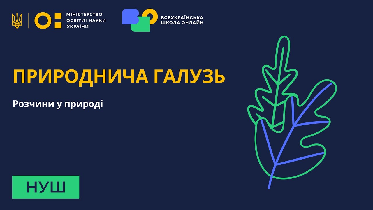 Природнича галузь. Розчини у природі