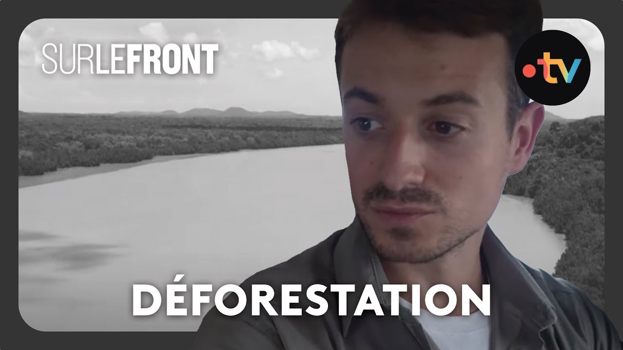 Brésil : au cœur de la forêt en flammes - #SurLeFront de l'Amazonie avec Hugo