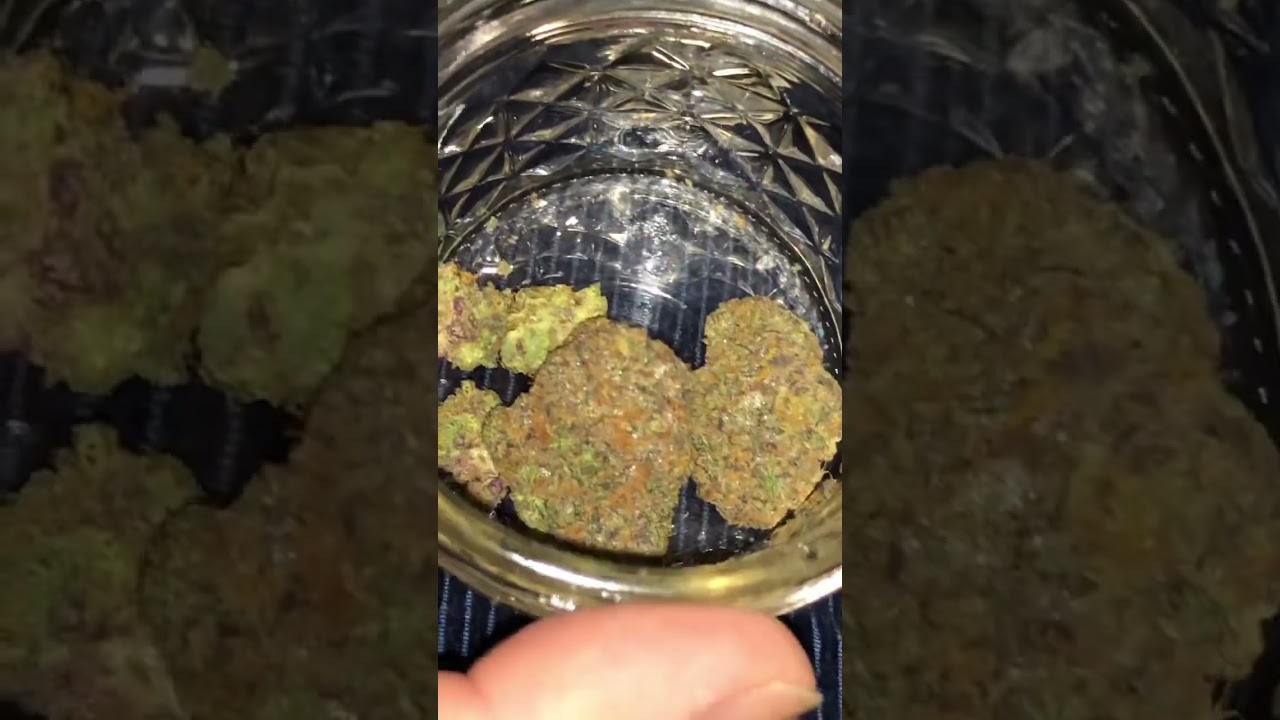 RS11 by #Paperboy510 and Blackberry Gary by hidden farms #420 #flower