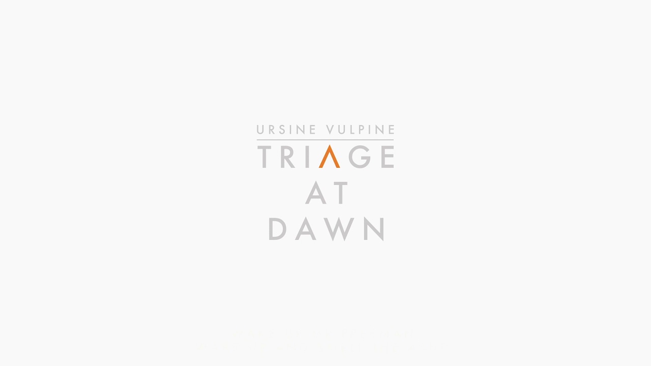 Triage At Dawn Cover - Ursine Vulpine - The Final Hours Of Half-Life: Alyx