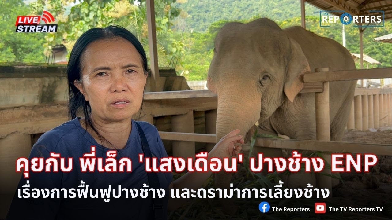 คุยกับพี่เล็ก 'แสงเดือน ชัยเลิศ' ปางช้าง Elephant Nature Park