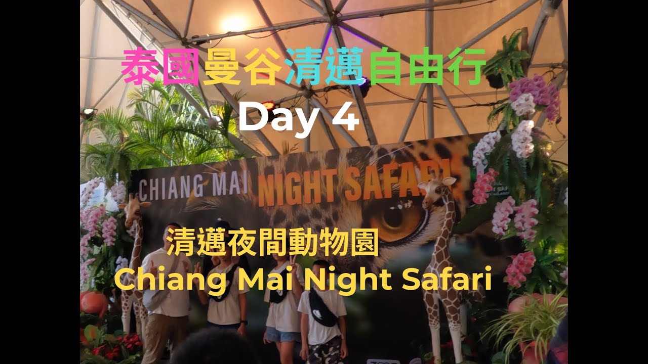 泰國曼谷清邁自由行第四天-- 清邁夜間動物園 Thailand Chiang Mai Safari  20250205