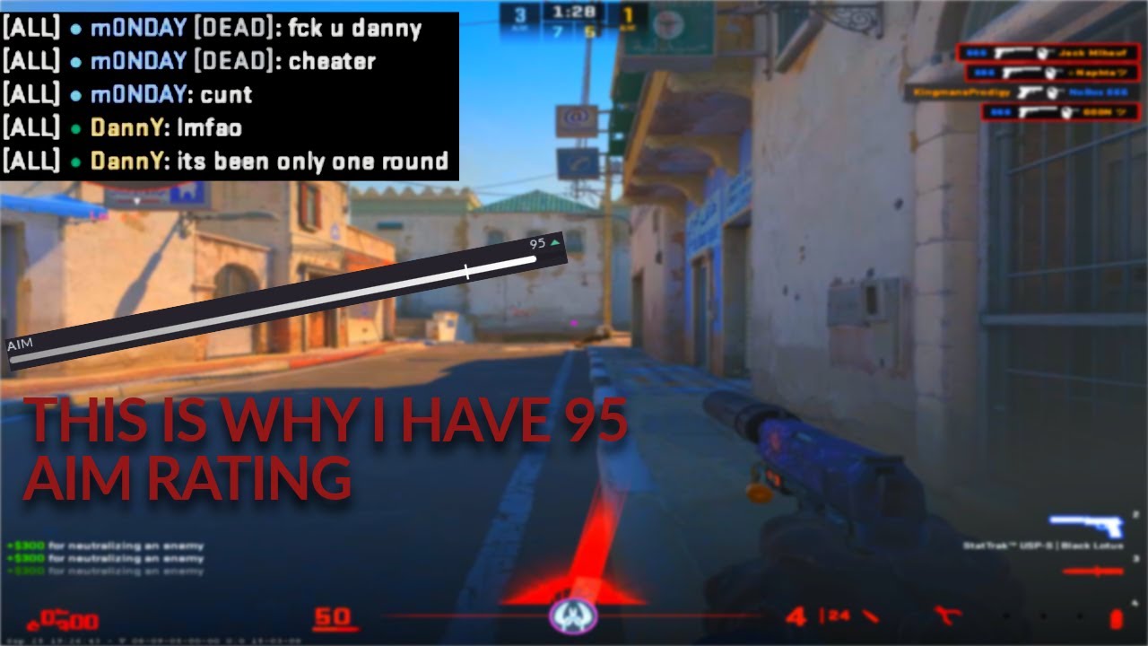 CS2 1080x1080 95 AIM RATING...