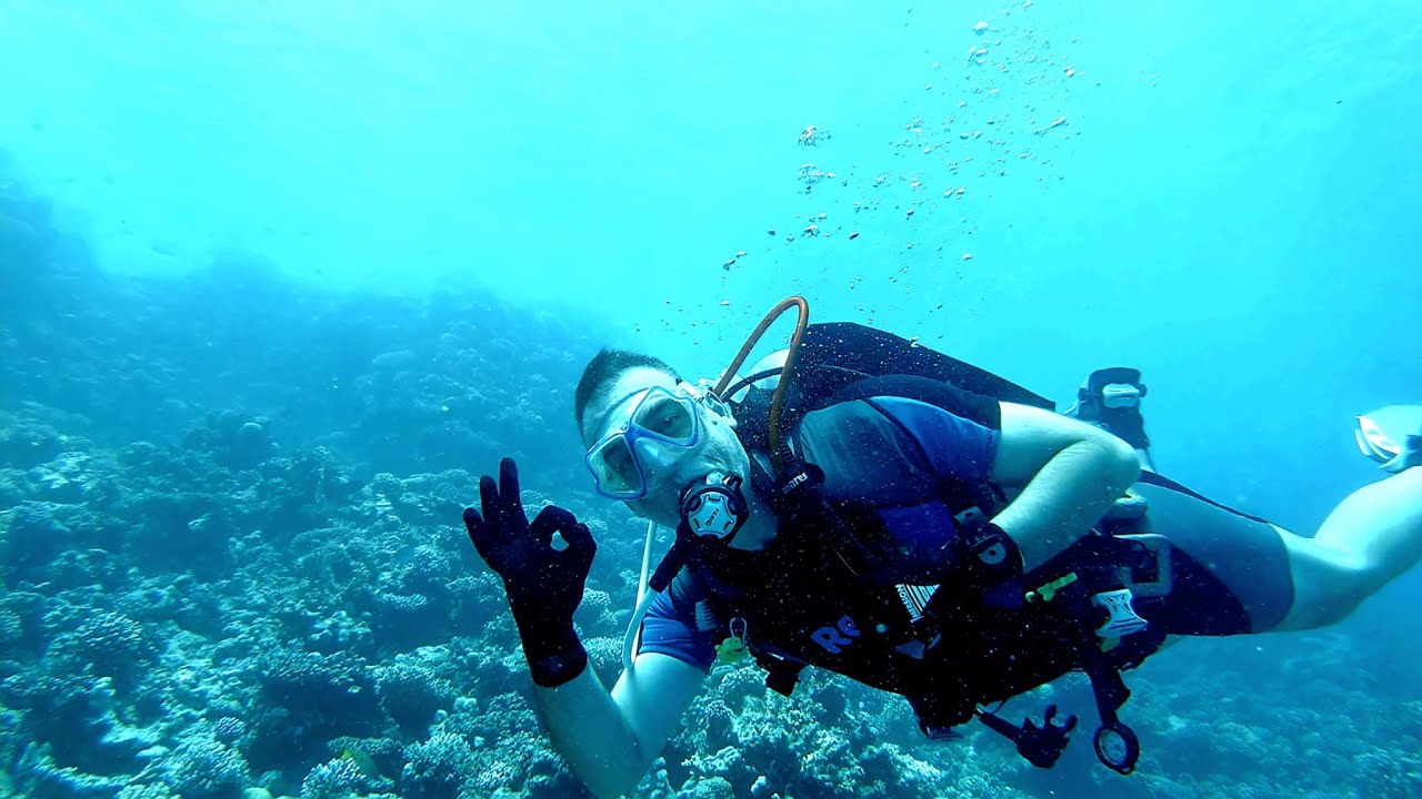 2025 04 PLONGEES à MARSA ALAM