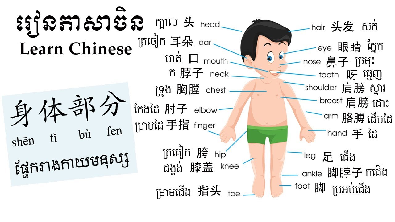 💕Learn Chinese | រៀនភាសាចិនដំបូង _ ផ្នែករាងកាយ 【学中文】