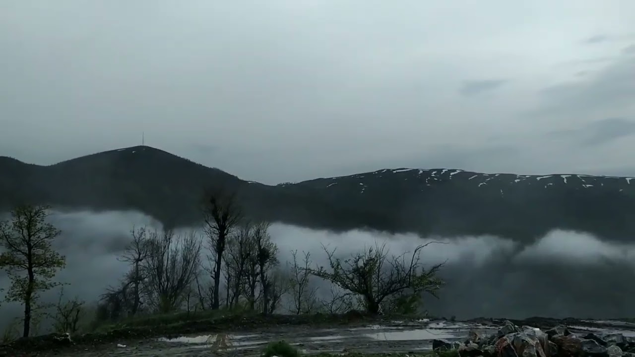 doğada ilkbahar dağ hayatı koyunlar