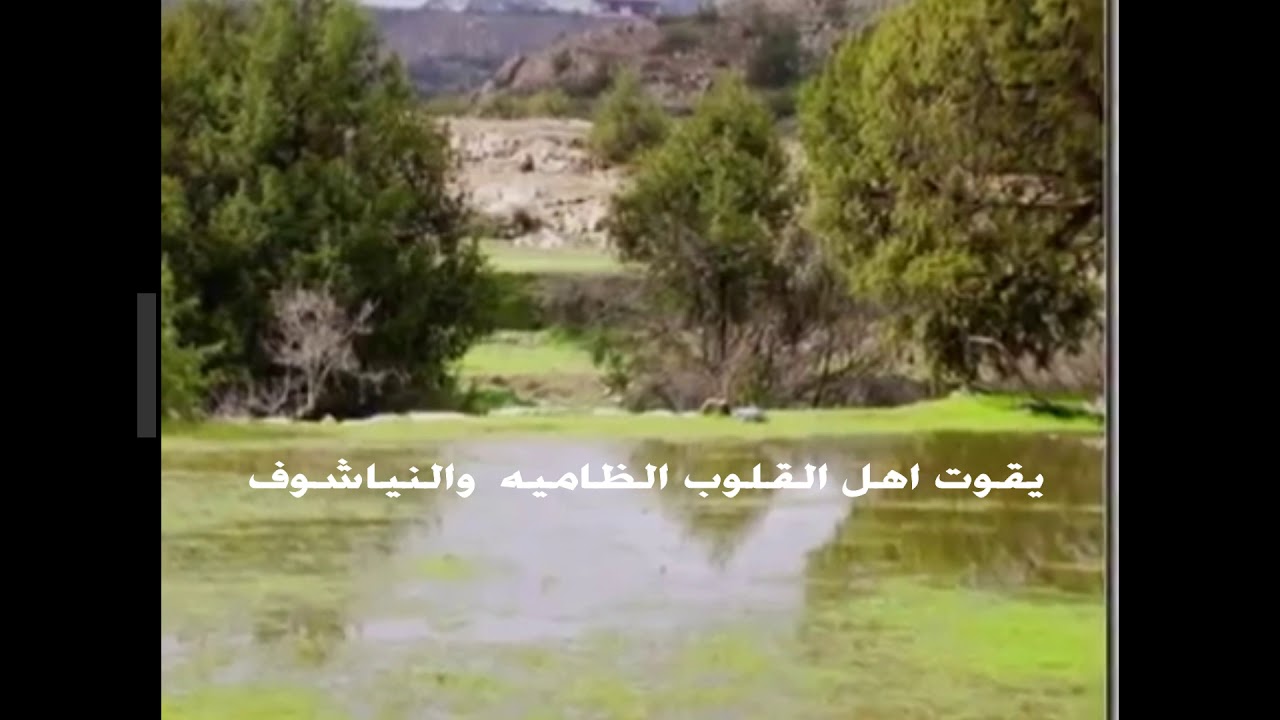 يقول جمعان ريت البندقة فيد الأعمى  للشاعر  جمعان البراق  رحمه الله