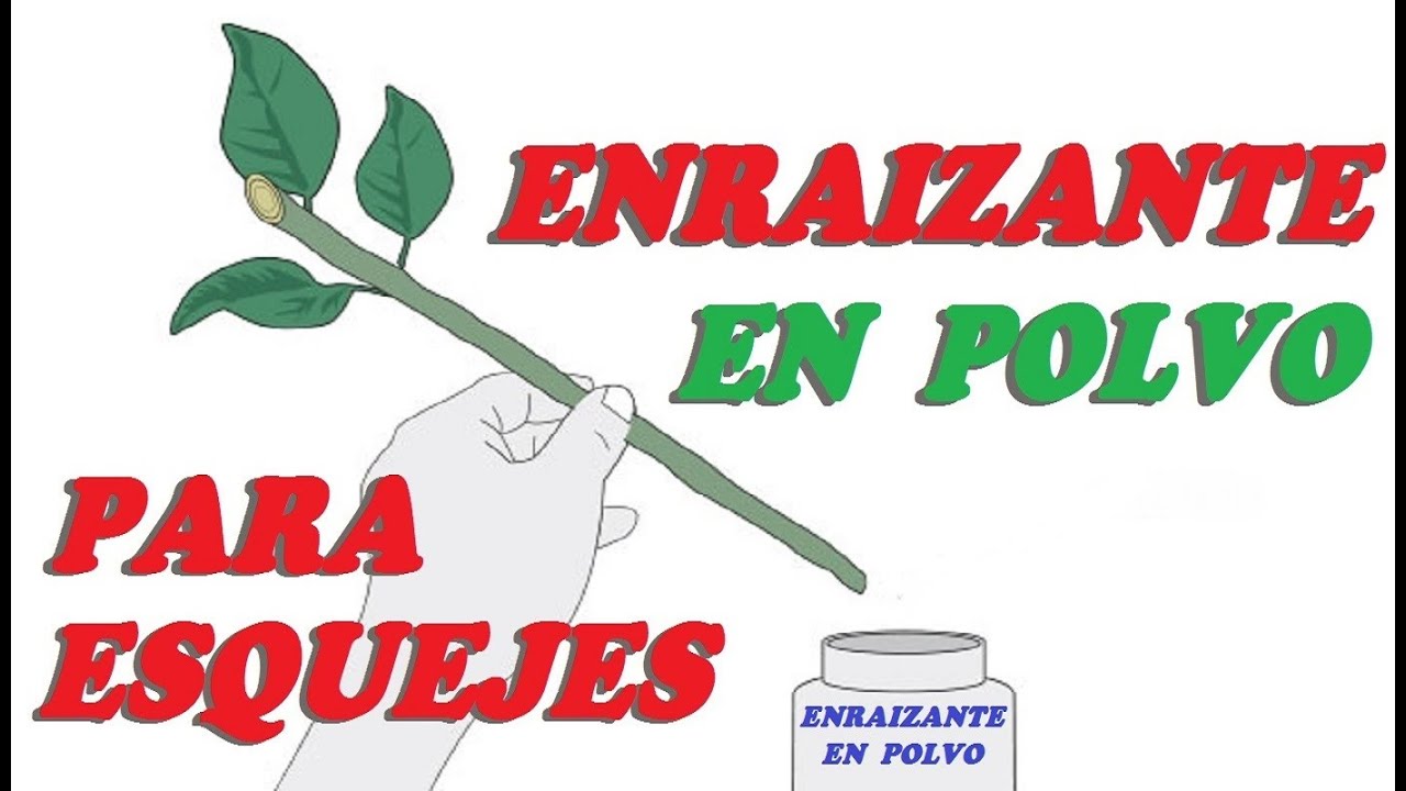 POTENTE ENRAIZANTE EN POLVO para Esquejes // Todo Huerta y Jardín