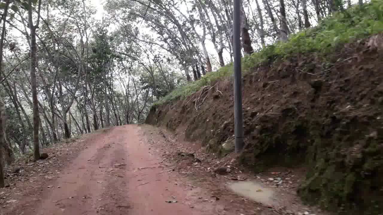 beautiful hidden village road in sri lanka.. amazing!!!