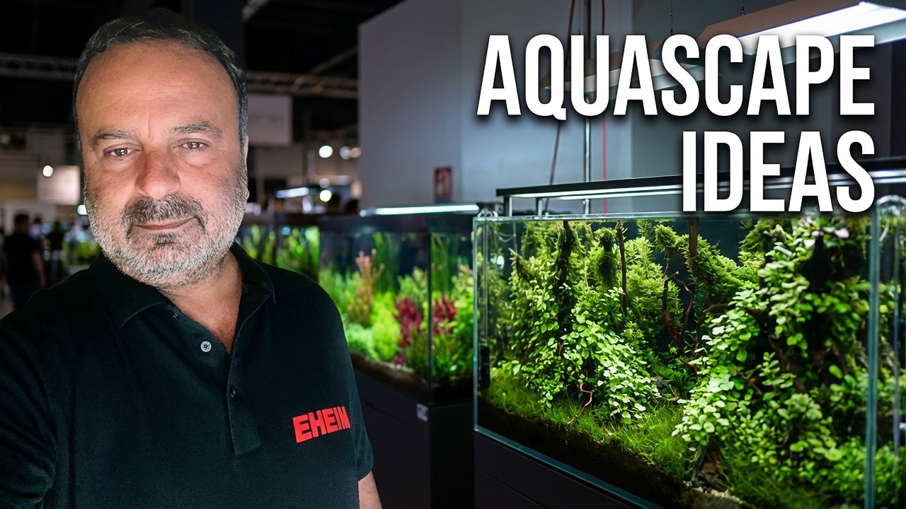 ИДЕИ АКВАСКЕЙПА с выставки Aqua Expo Dortmund 2923