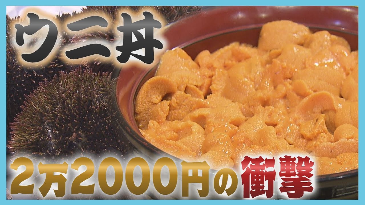 【異変】どんぶり一杯２万円以上　ウニが記録的不漁で高騰　海水温上昇&ldquo;磯焼け&rdquo;が深刻化　北海道