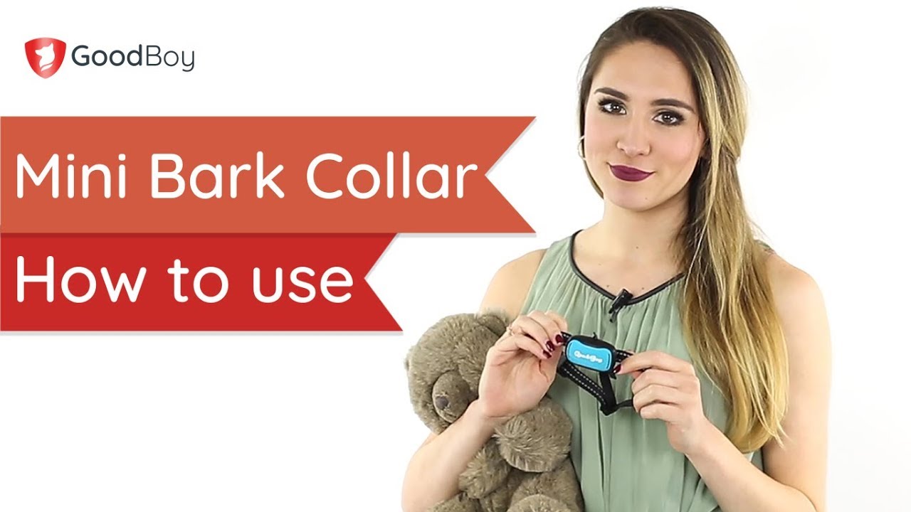 GoodBoy Mini Vibration Bark Collar - How to use