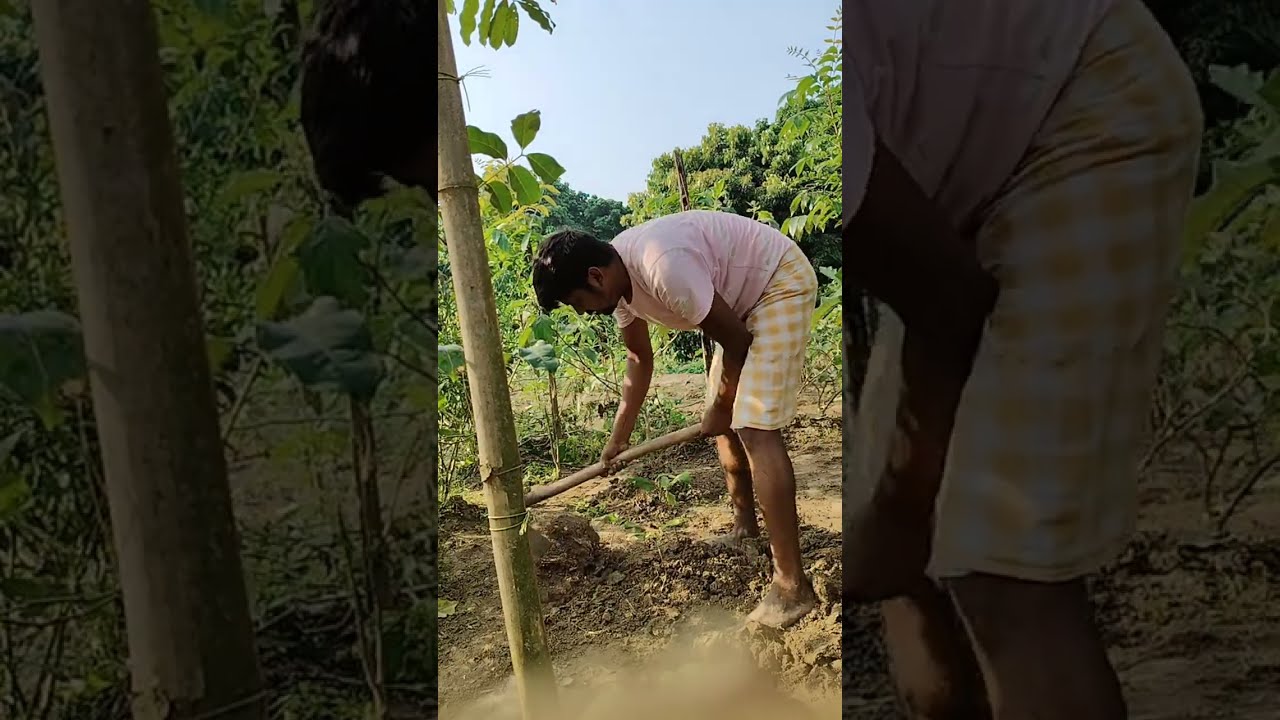 Anisha official 22 is live