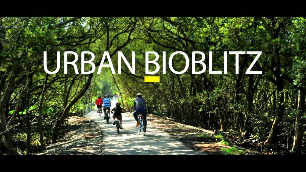 BioBlitz with National Geographic at World Parks Congress - PlanetFest Event