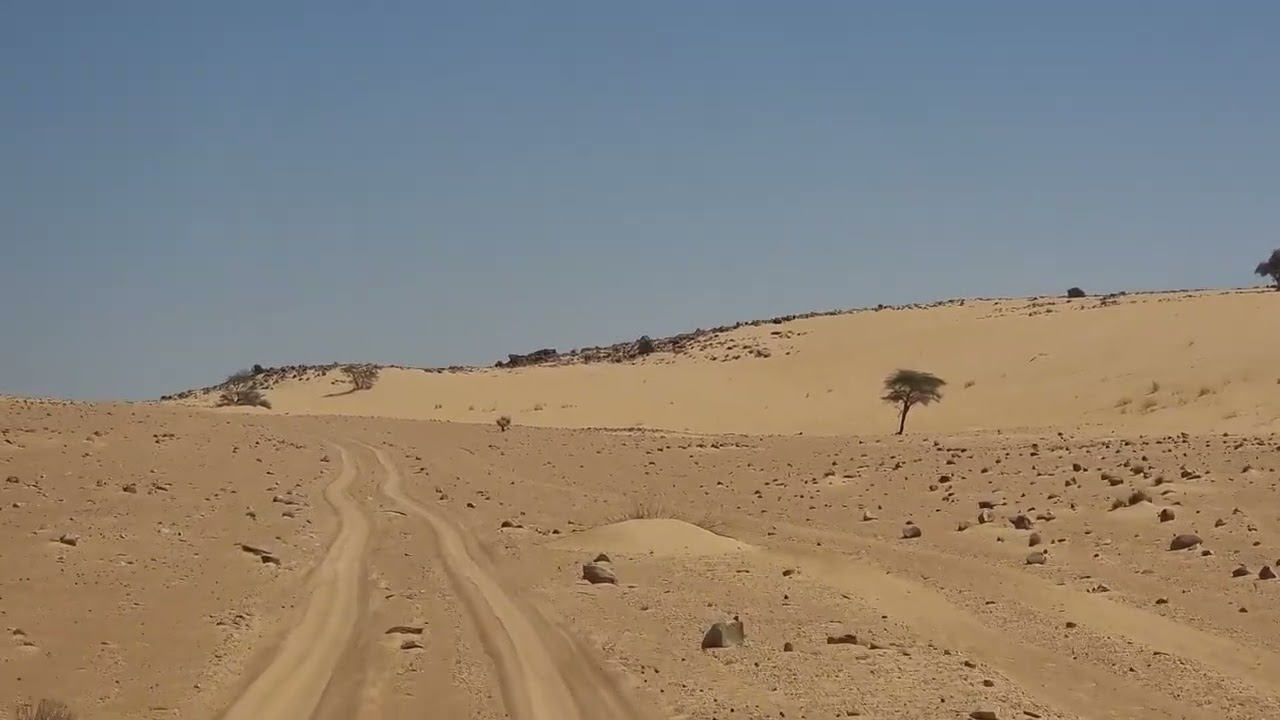 Driving towards Oasis of Tanouchert, Mauritania