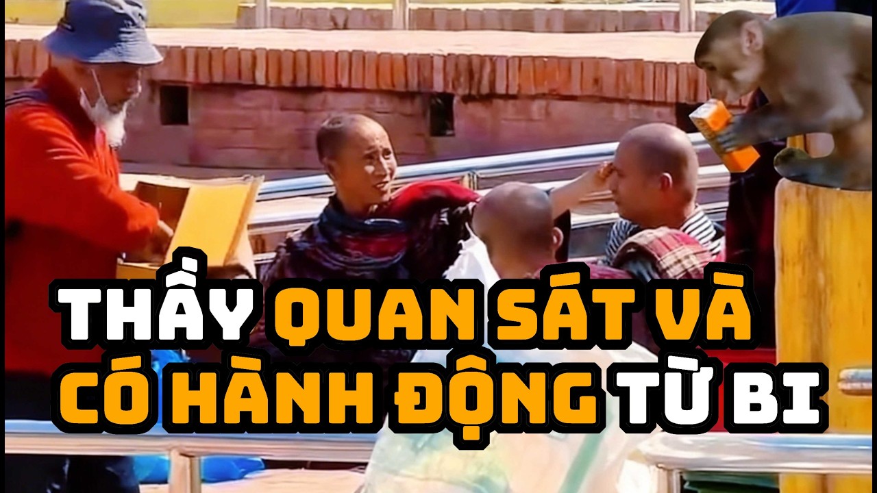 Chú Khỉ Đi Tìm Thầy - Ngạc Nhiên với Trí Tuệ Sư Chơn Chí sau một 2 năm theo Thầy tu học.