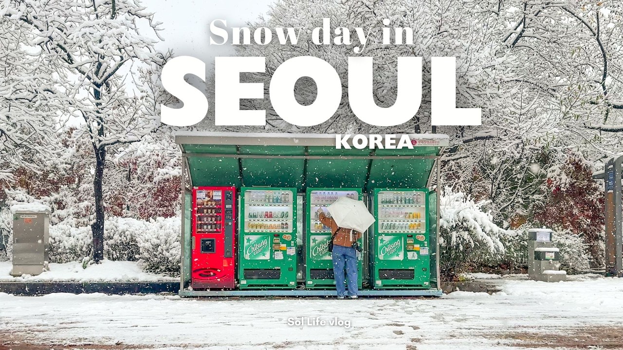 Snow day in Seoul, Korea | heaviest snowfall in 100 years, cosy days at home, winter morning routine