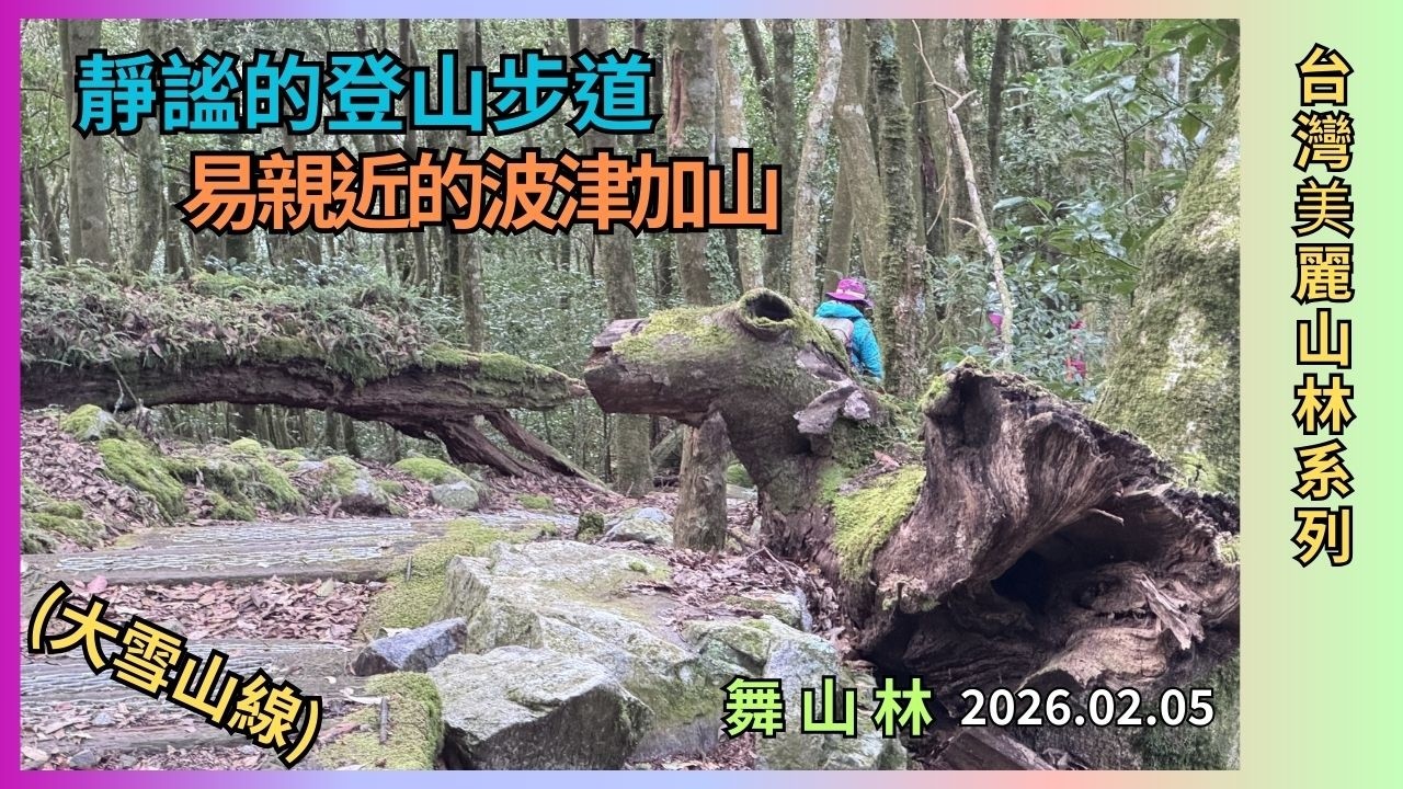 波津加山(大雪山線)靜謐容易親近2026.02.05