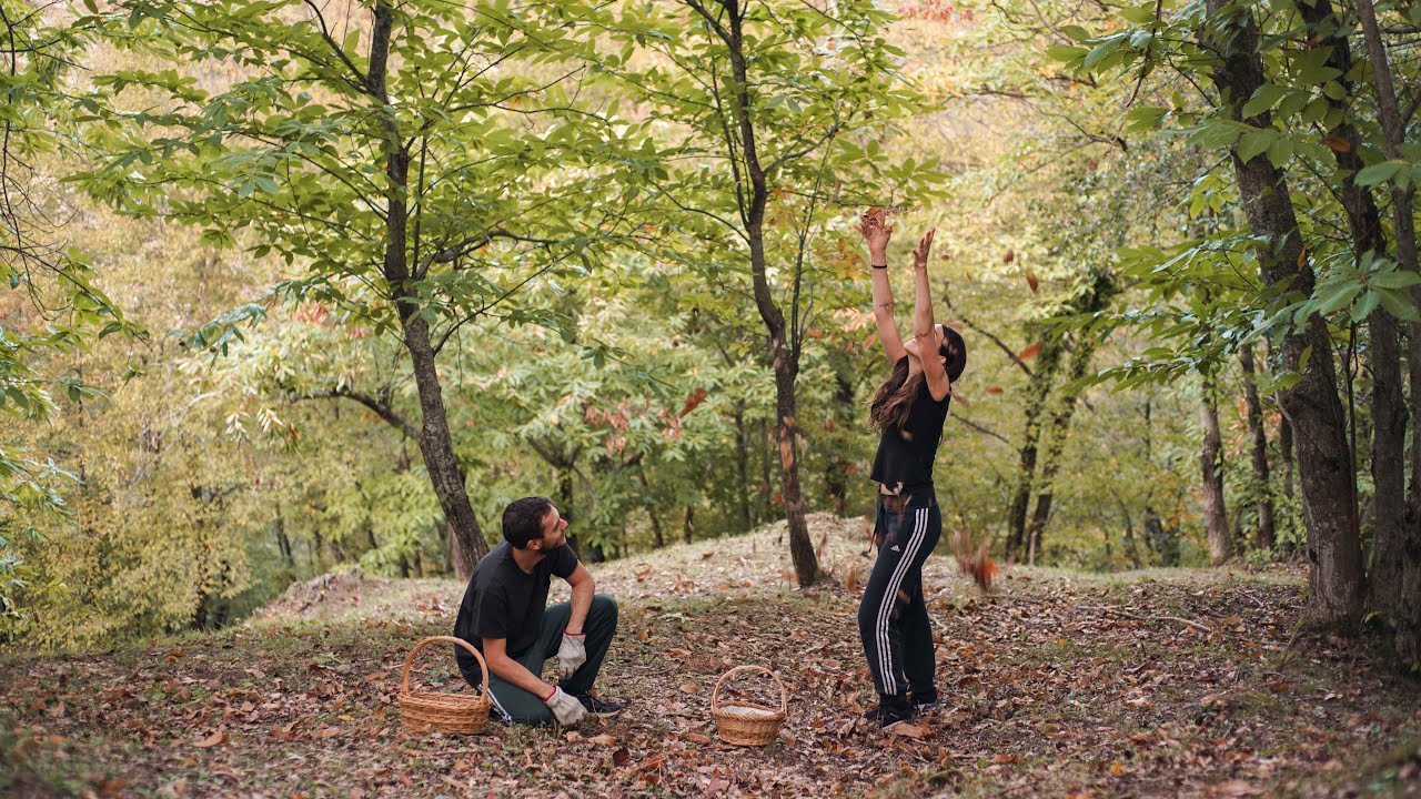 Mangiare con le Stagioni: Cosa mangiamo in un Giorno d'Autunno | Vita nei Boschi dell'Appennino #39