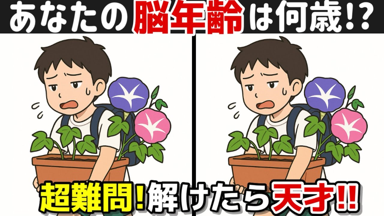 【間違い探し×脳トレ！】60代70代のための脳トレ！認知症予防に効果絶大！記憶力向上、集中力向上、老化防止も期待出来ます！