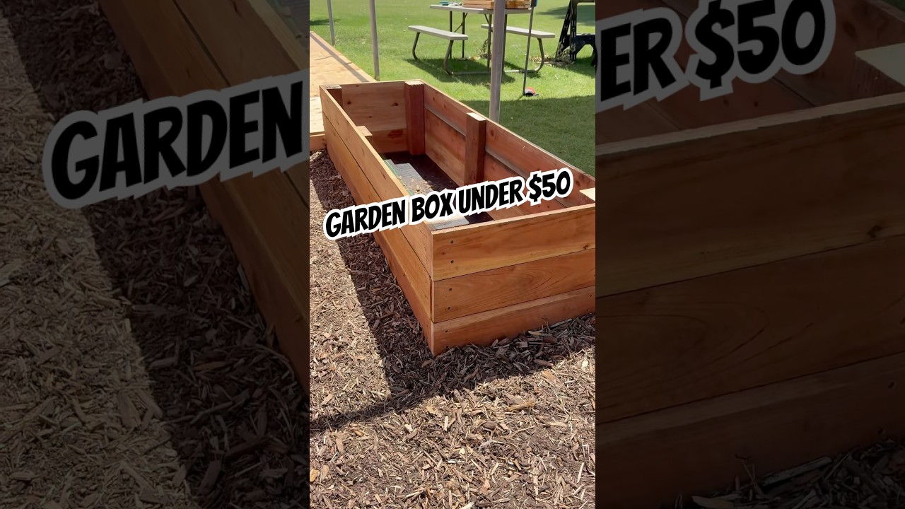 Planter box built under $50! #garden #howto #diy #redwood #raisedgardenbed #construction #teamridgid