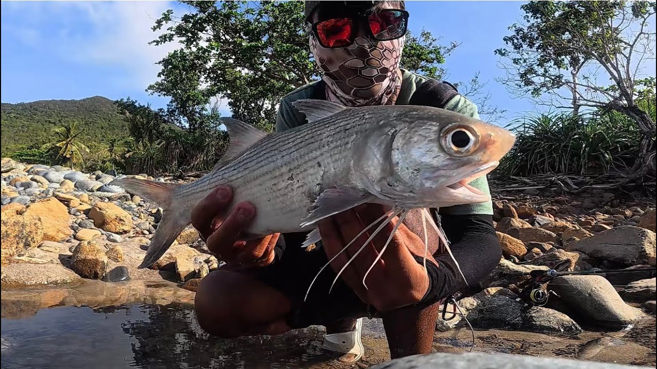 May Nakahalong Kakaibang isda Sa Spot Ng Trevally !