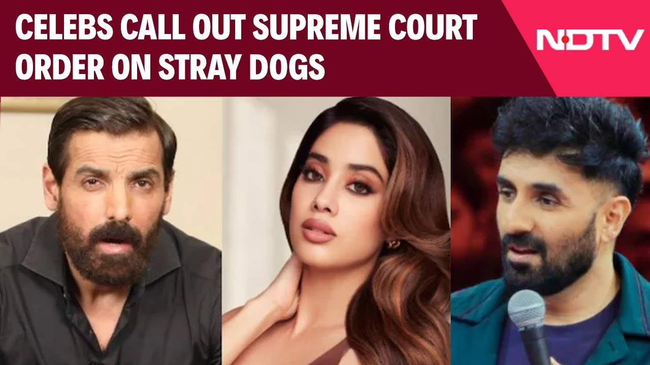 John Abraham, Janhvi Kapoor, Vir Das Call Out Supreme Court Order On Strays: 