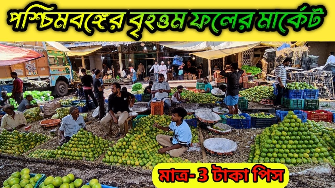 মেছুয়া ফলের পাইকারি বাজারের ২০২৫ এর নতুন আপডেট || Mechua Fruit Wholesale Market New Update 2025