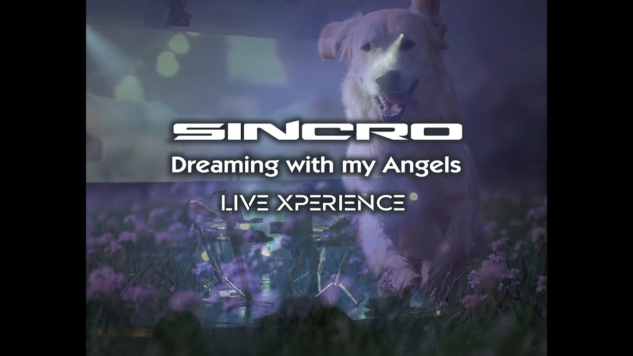 SINCRO   Dreaming with my angels Live Xperience