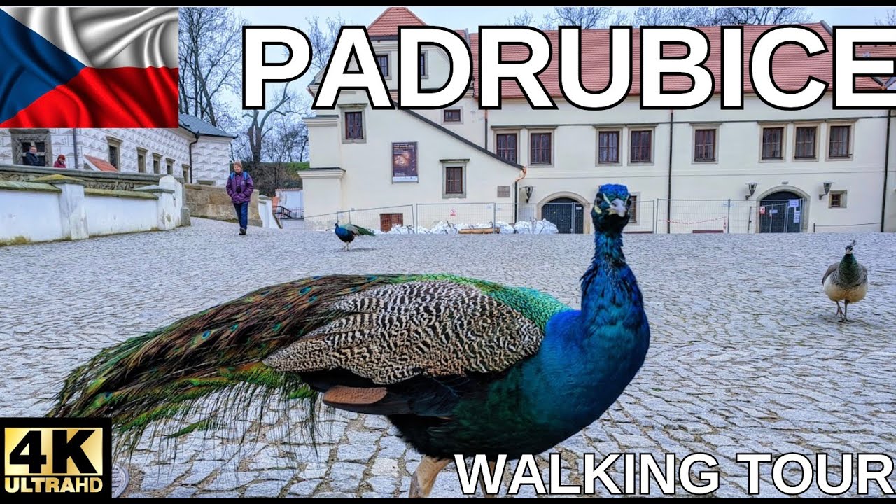 Padrubice, Czech Republic 4K - A Walk Through the Castle and the City Center - With Subtitles