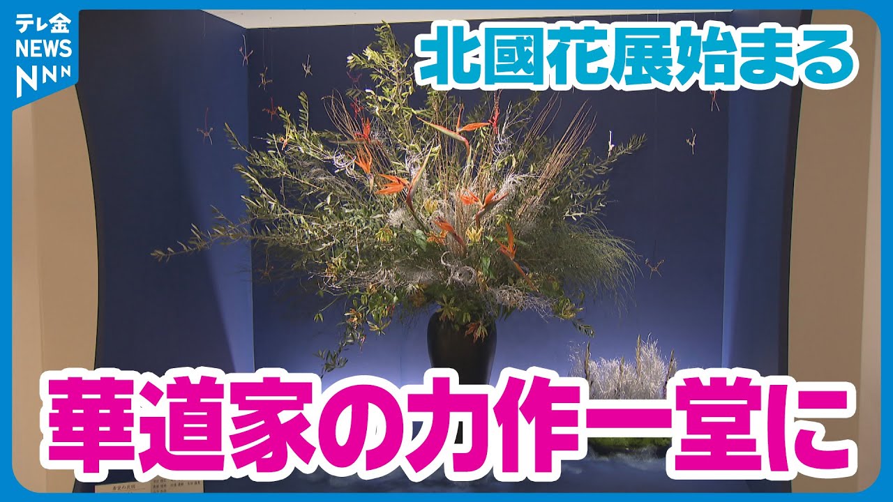 【伝統と現代】華道家の力作が一堂に　石川・金沢市で「北國花展」開催