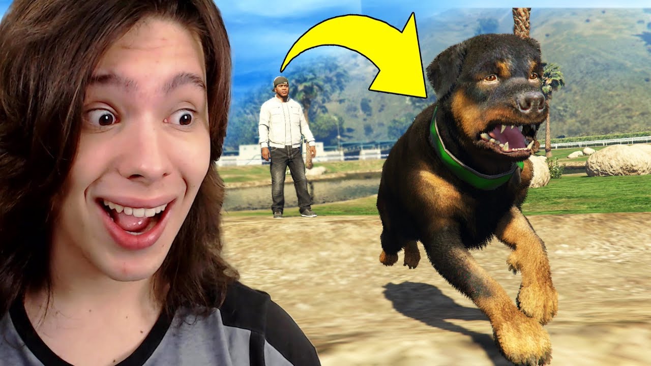 JOGANDO GTA 5 COMO UM CACHORRO (Chop) !! (Incrível)