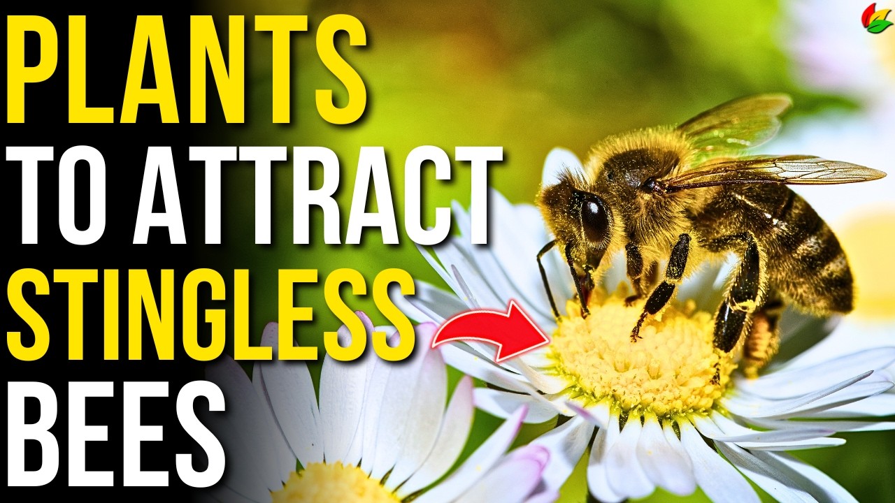 7 Plants to Attract Stingless Bees | How to Attract Bees to Your Garden