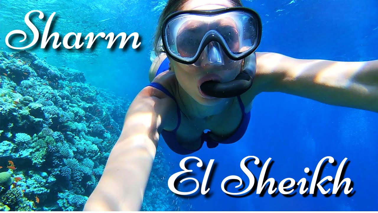 ✈️ COSE da FARE a SHARM EL SHEIKH