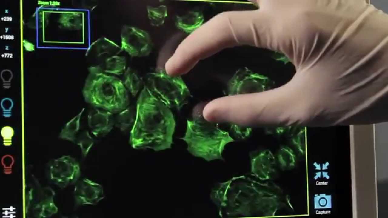 Cell Imaging Simplified -  the ZOE&trade; Fluorescent Cell Imager